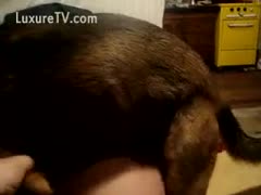 An amateur video shows a dog stealing a fat girlfriend from behind.